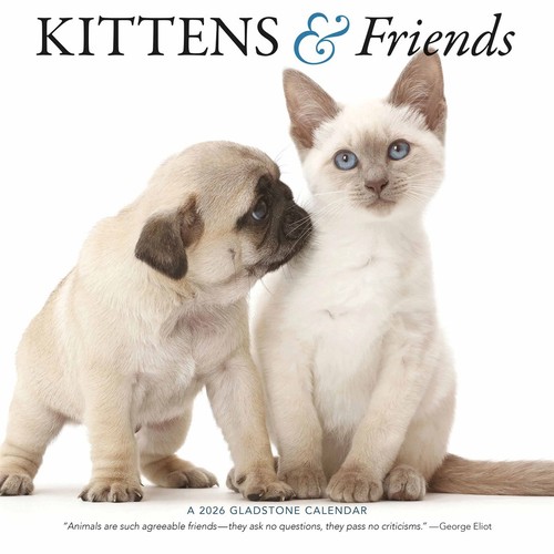 Kittens friends calendar - kittens,