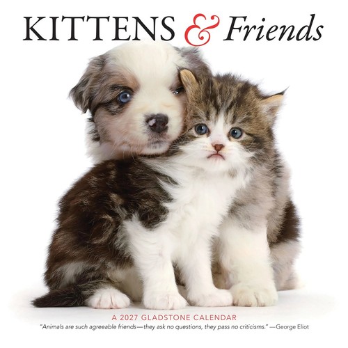 Kittens friends calendar - kittens,