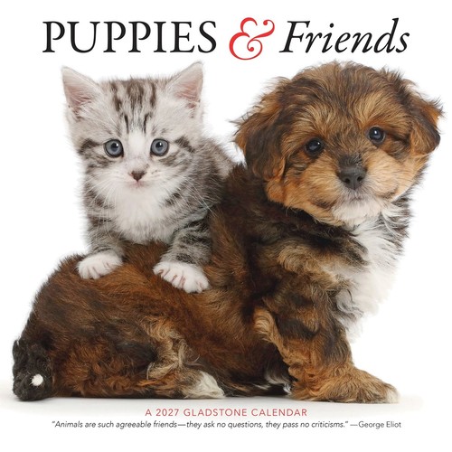 Puppies friends calendar - puppies, &