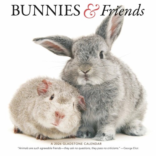 Bunnies friends calendar - friends,
