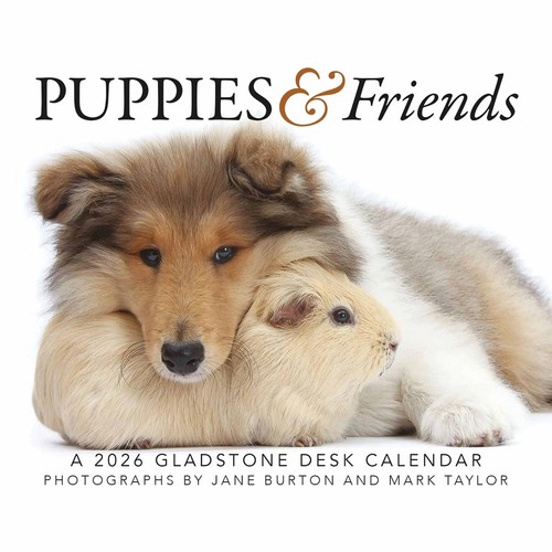 Puppies friends desk - &,