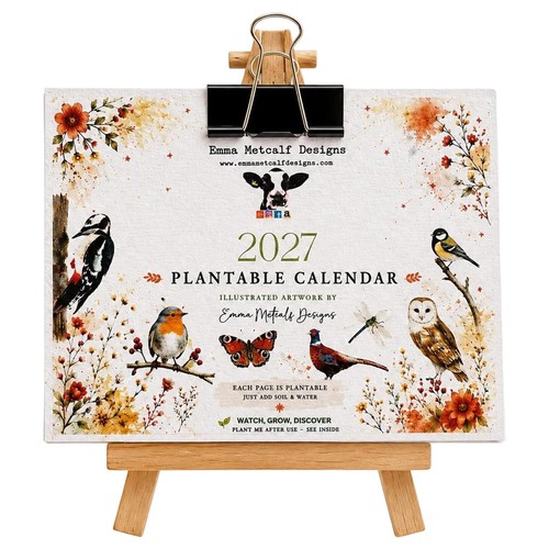 Eco friendly plantable seed - eco-friendly,