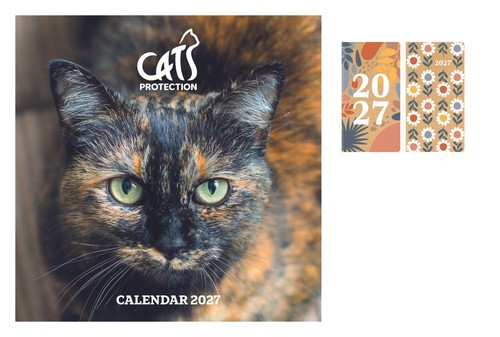 Cats protection wall calendar - wall,